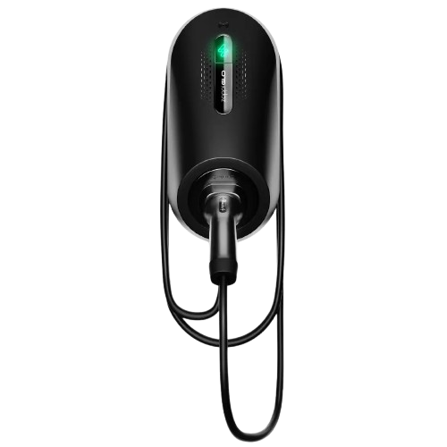 Zappi Glo